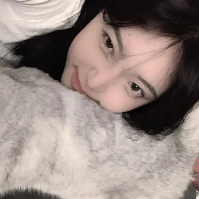 希特拉的最后十二夜